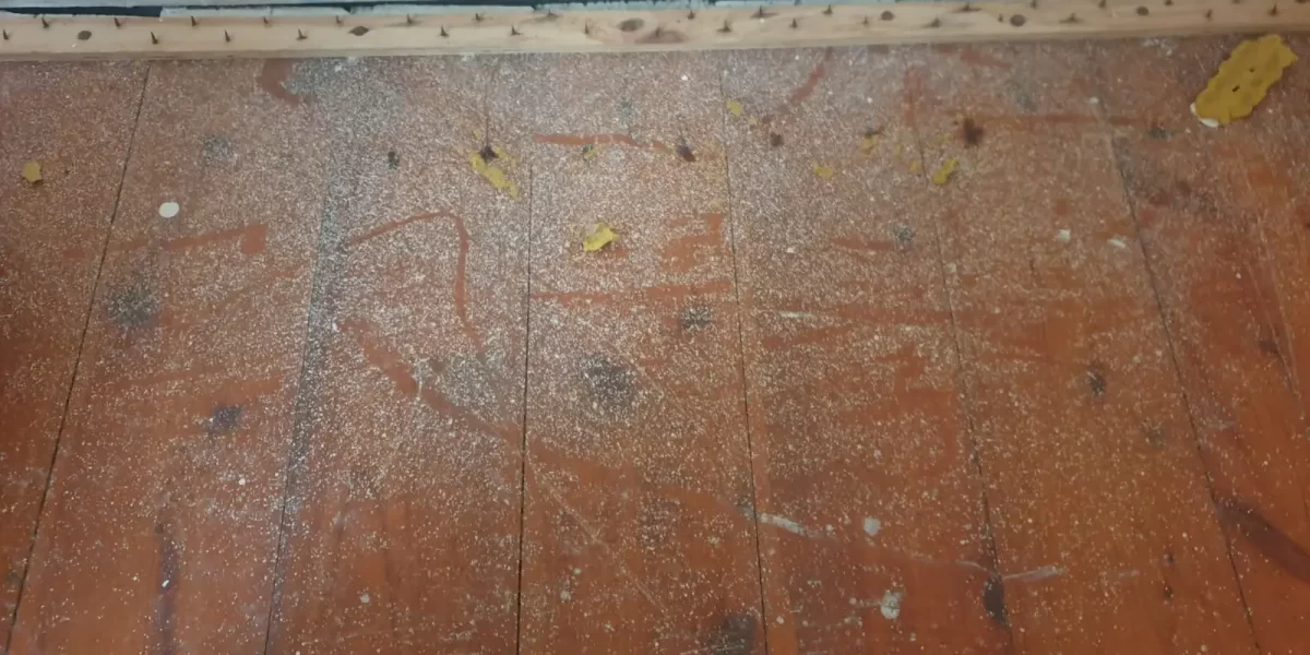 2021-01-06 19.31.34